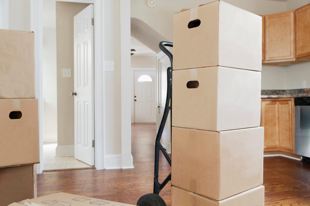 Move In/Out Cleaning